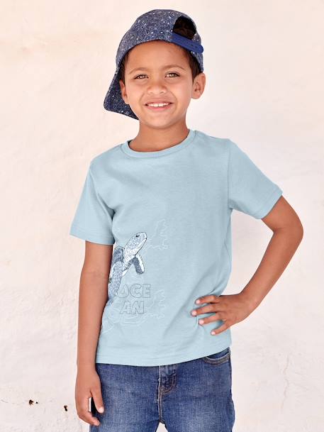 Animal T-Shirt in Organic Cotton for Boys marl grey+sage green+sky blue - vertbaudet enfant 