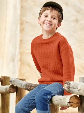 Padded Sweatshirt for Boys  - vertbaudet enfant