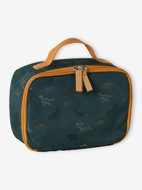 -Dinosaurs Lunch Bag for Boys