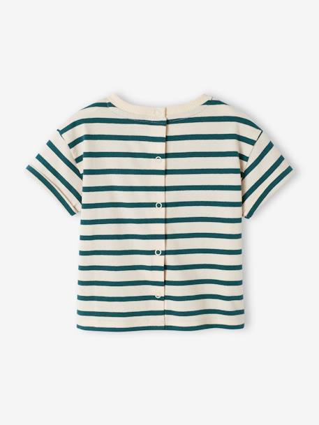 T-Shirt for Babies, Sailor Capsule Collection striped green - vertbaudet enfant 