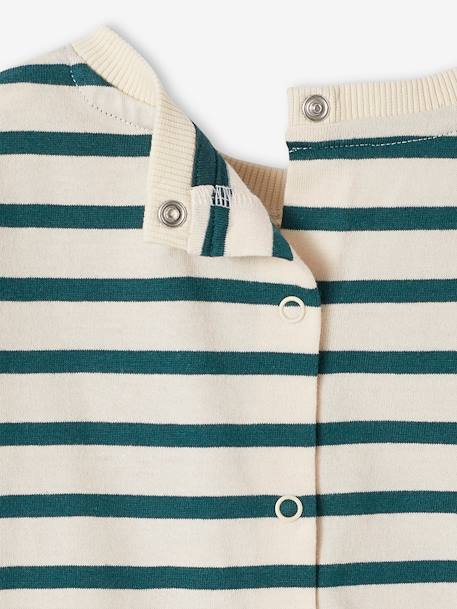 T-Shirt for Babies, Sailor Capsule Collection striped green - vertbaudet enfant 