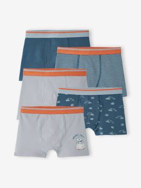 -Pack of 5 Stretch Yeti Boxers for Boys