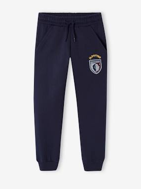Boys-Trousers-Harry Potter® Joggers for Boys