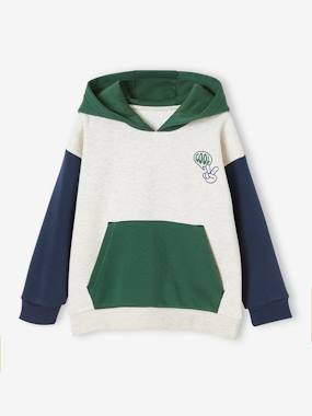 Hooded Colourblock Sweatshirt for Boys  - vertbaudet enfant