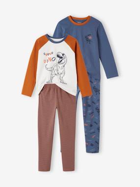 Pack of 2 Dino Pyjamas for Boys  - vertbaudet enfant