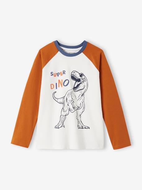 Pack of 2 Dino Pyjamas for Boys indigo - vertbaudet enfant 