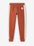 Joggers with Stripes on the Sides, Playschool Special, for Boys pecan nut - vertbaudet enfant 