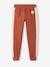 Joggers with Stripes on the Sides, Playschool Special, for Boys pecan nut - vertbaudet enfant 