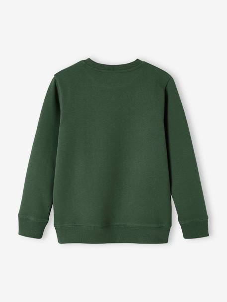 Basics Sweatshirt with Graphic Motifs for Boys green+night blue+pecan nut - vertbaudet enfant 