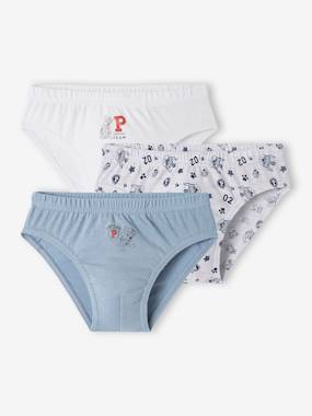 -Pack of 3 Paw Patrol® Briefs for Boys