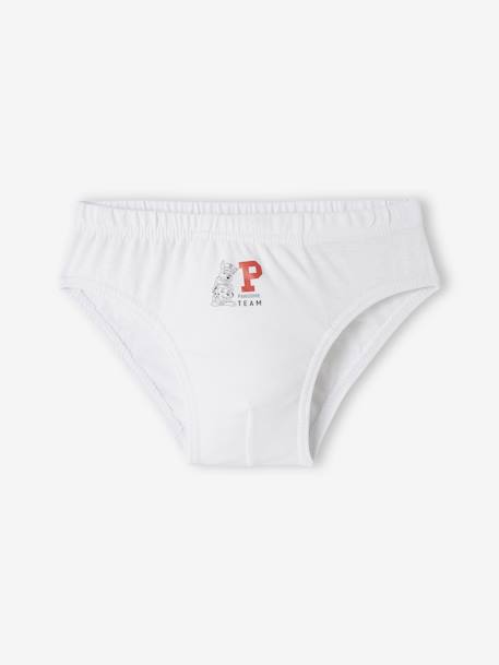 Paw Patrol Girls Underwear