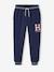 Pantalon garçon jogging sport en molleton lichen+marine - vertbaudet enfant 