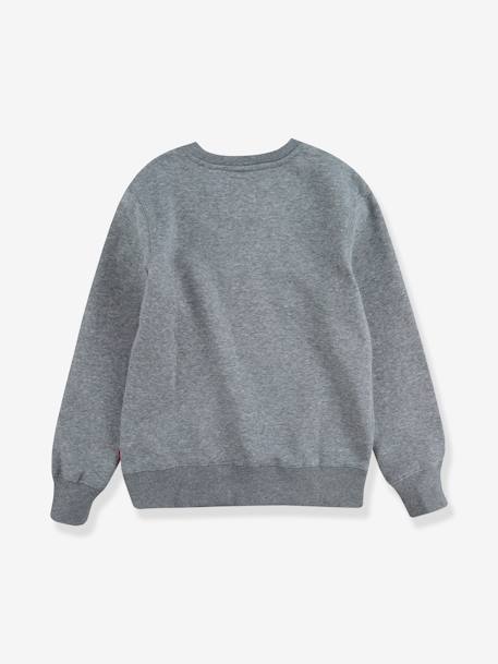 Batwing Crewneck Sweatshirt for Boys, by Levi's® grey - vertbaudet enfant 