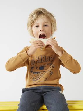 Boys-Cardigans, Jumpers & Sweatshirts-Sweatshirts & Hoodies-Basics Sweatshirt with Graphic Motifs for Boys