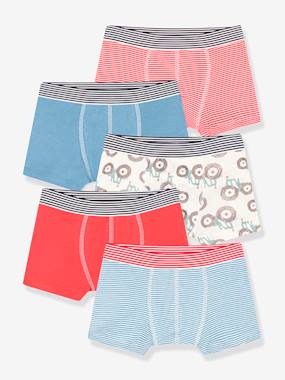 Pack of 5 Tractor Boxers in Cotton for Young Boys, PETIT BATEAU  - vertbaudet enfant
