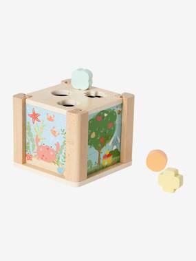 2-in-1 Activity Cube in FSC® Wood: Puzzles & Shapes to Sort & Fit  - vertbaudet enfant