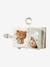 Activity & Photos Book, Green Forest brown - vertbaudet enfant 