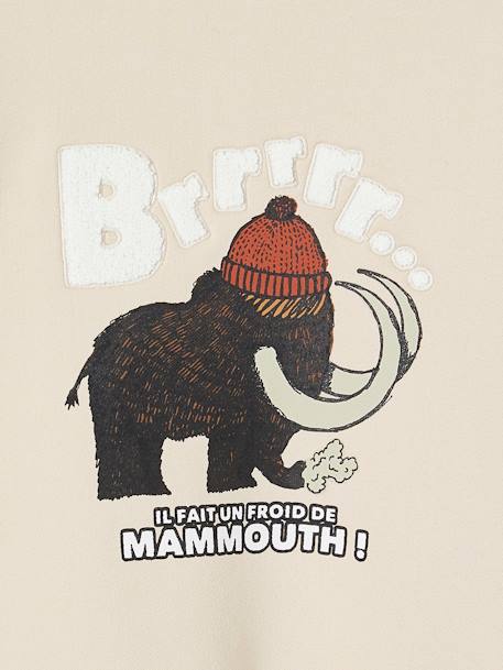 Sweat motif mammouth détails en bouclettes garçon beige - vertbaudet enfant 