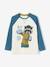 Sports Top with Boxer Raccoon, Raglan Sleeves, for Boys BEIGE LIGHT MIXED COLOR - vertbaudet enfant 