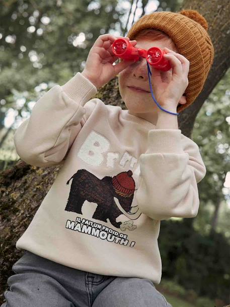 Sweatshirt with Mammoth & Bouclé Knit Details, for Boys beige - vertbaudet enfant 