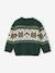 Christmas Special Jacquard Knit Jumper for Babies, Family Capsule Collection fir green+red - vertbaudet enfant 