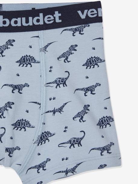 Pack of 5 Stretch Boxers for Boys, Dinosaurs Light Grey/Print - vertbaudet enfant 
