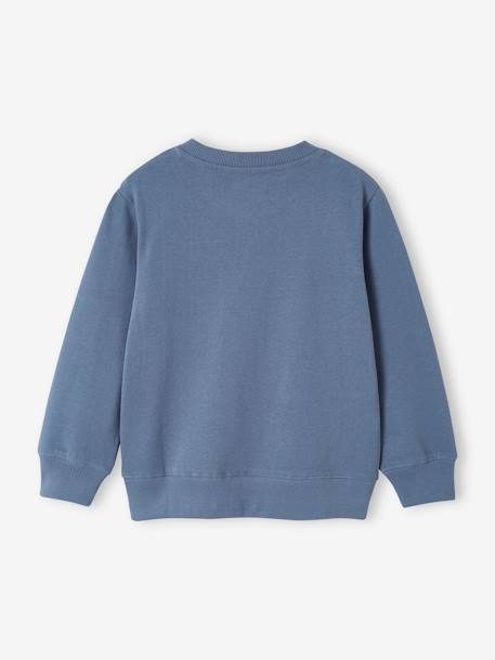 Basics Sweatshirt with Graphic Motif for Boys apricot+grey blue+marl beige+pistachio - vertbaudet enfant 