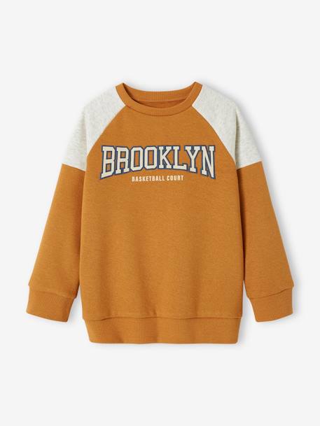 Team Brooklyn Colourblock Sports Sweatshirt for Boys pecan nut+royal blue - vertbaudet enfant 