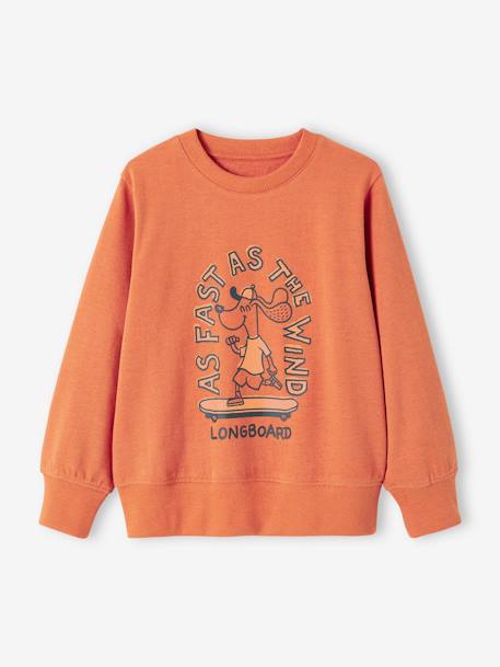 Basics Sweatshirt with Graphic Motif for Boys apricot+grey blue+marl beige+pistachio - vertbaudet enfant 