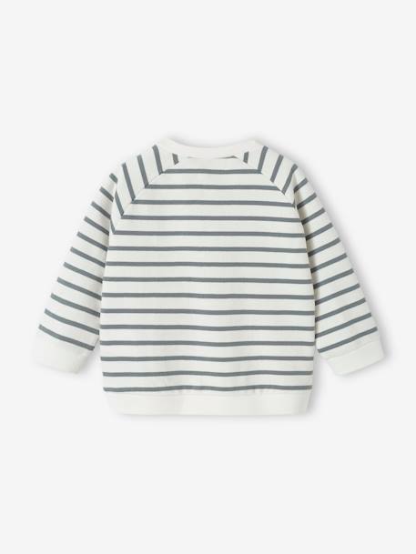 Striped Fleece Sweatshirt for Babies slate blue+striped green - vertbaudet enfant 