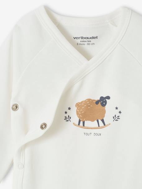 Pack of 5 Organic Cotton Bodysuits for Newborns taupe - vertbaudet enfant 