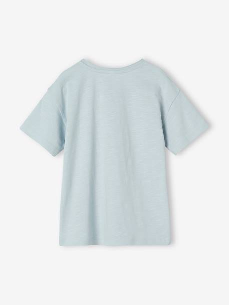 Tee-shirt motif 'Sunny days' garçon bleu ciel - vertbaudet enfant 
