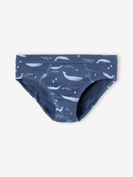 Pack of 7 Whale Briefs in Stretch Organic Cotton for Boys sky blue - vertbaudet enfant 