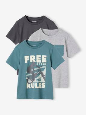 Pack of 3 Assorted T-Shirts for Boys  - vertbaudet enfant
