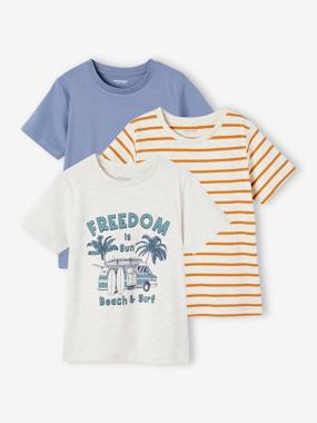Pack of 3 Assorted T-Shirts for Boys  - vertbaudet enfant