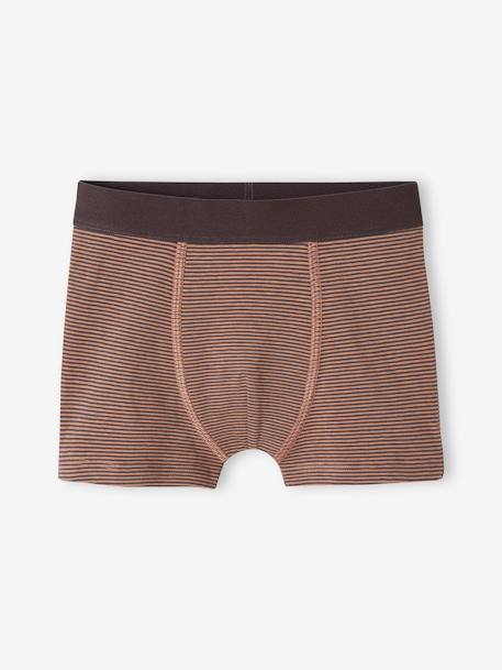 Lot de 5 boxers stretch graphiques garçon en coton bio écru - vertbaudet enfant 