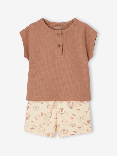 Combo: Grandad-Style T-Shirt + Shorts for Babies mocha - vertbaudet enfant 