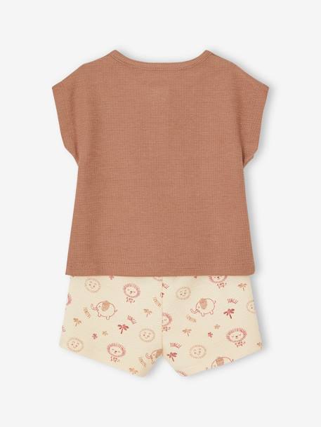 Combo: Grandad-Style T-Shirt + Shorts for Babies mocha - vertbaudet enfant 