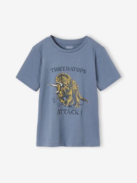 Tee-shirt motif dinosaure garçon bleu grisé+cappuccino - vertbaudet enfant 