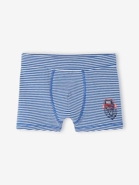 Pack of 7 'Bear' Stretch Boxers in Organic Cotton for Boys royal blue - vertbaudet enfant 