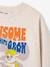Paw Patrol® Sweatshirt for Boys marl beige - vertbaudet enfant 