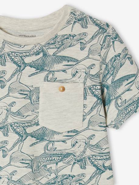 T-shirt motifs graphiques garçon manches courtes anthracite+blanc chiné+bleu ardoise+cannelle+lichen+noix de pécan+terracotta - vertbaudet enfant 