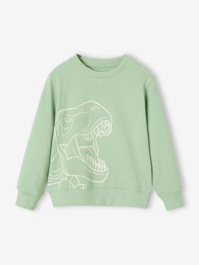 Boys-Basics Sweatshirt with Graphic Motif for Boys
