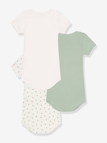 Pack of 3 Short Sleeve Bodysuits, by PETIT BATEAU almond green - vertbaudet enfant 