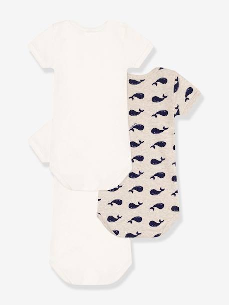 Pack of 3 Short Sleeve Bodysuits, Whales Print, by PETIT BATEAU white - vertbaudet enfant 