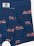 Lot de 5 boxers stretch pompiers garçon en coton bio bleu océan - vertbaudet enfant 