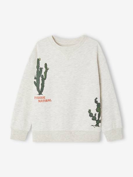 Sweatshirt with Cacti, for Boys marl beige - vertbaudet enfant 