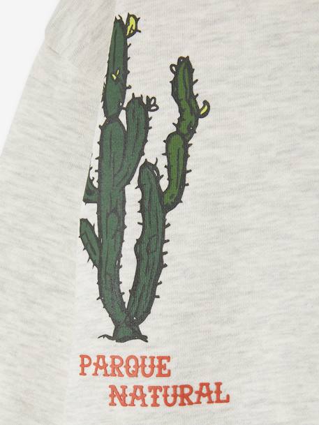 Sweatshirt with Cacti, for Boys marl beige - vertbaudet enfant 