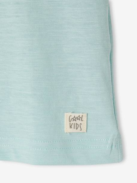 T-shirt garçon personnalisable manches courtes aubergine+blanc+BLEU+rouge+sauge+turquoise - vertbaudet enfant 