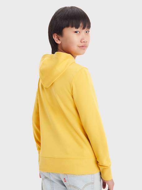 Hooded Sweatshirt for Babies, LVB Mini Batwing by Levi's® almond green+mustard - vertbaudet enfant 